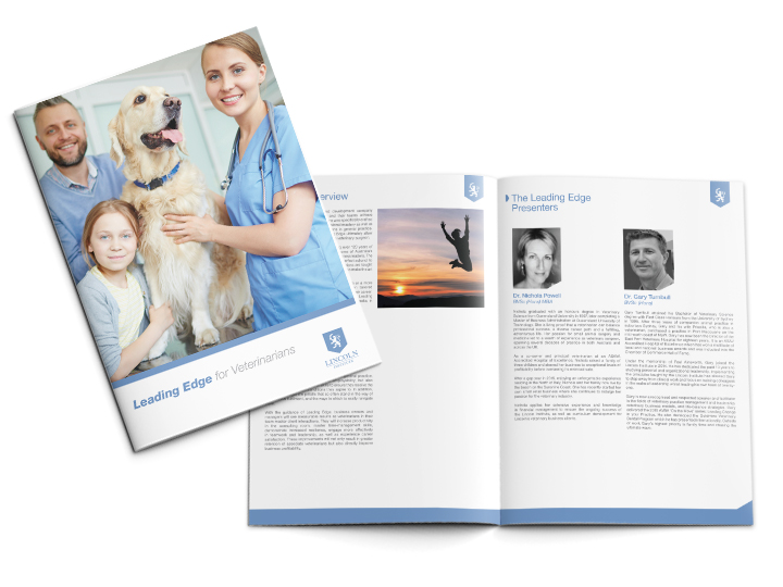 Brochure Design for Training Company